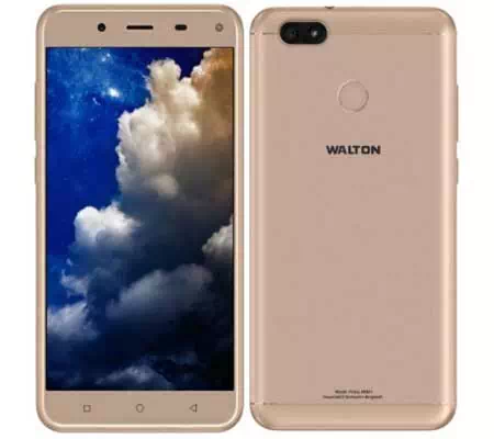 Walton Primo HM4+