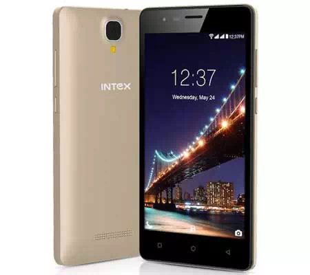 Intex Aqua Lions 2