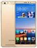 Gionee Gold Steel 3 In France